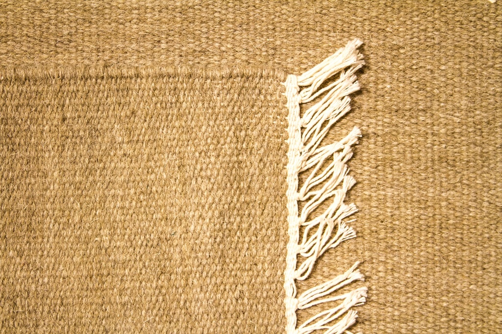 3126
