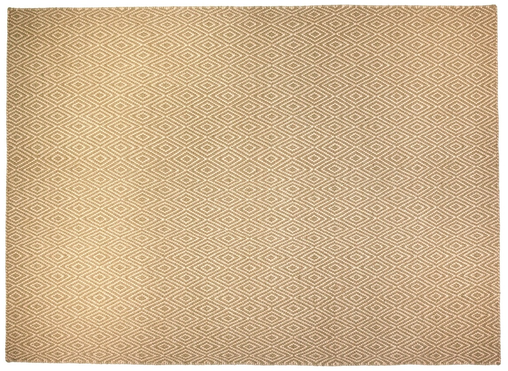 3129