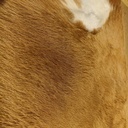 2478