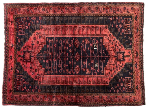 Alfombra clásica oriental Lori Antigua - 220x163cm